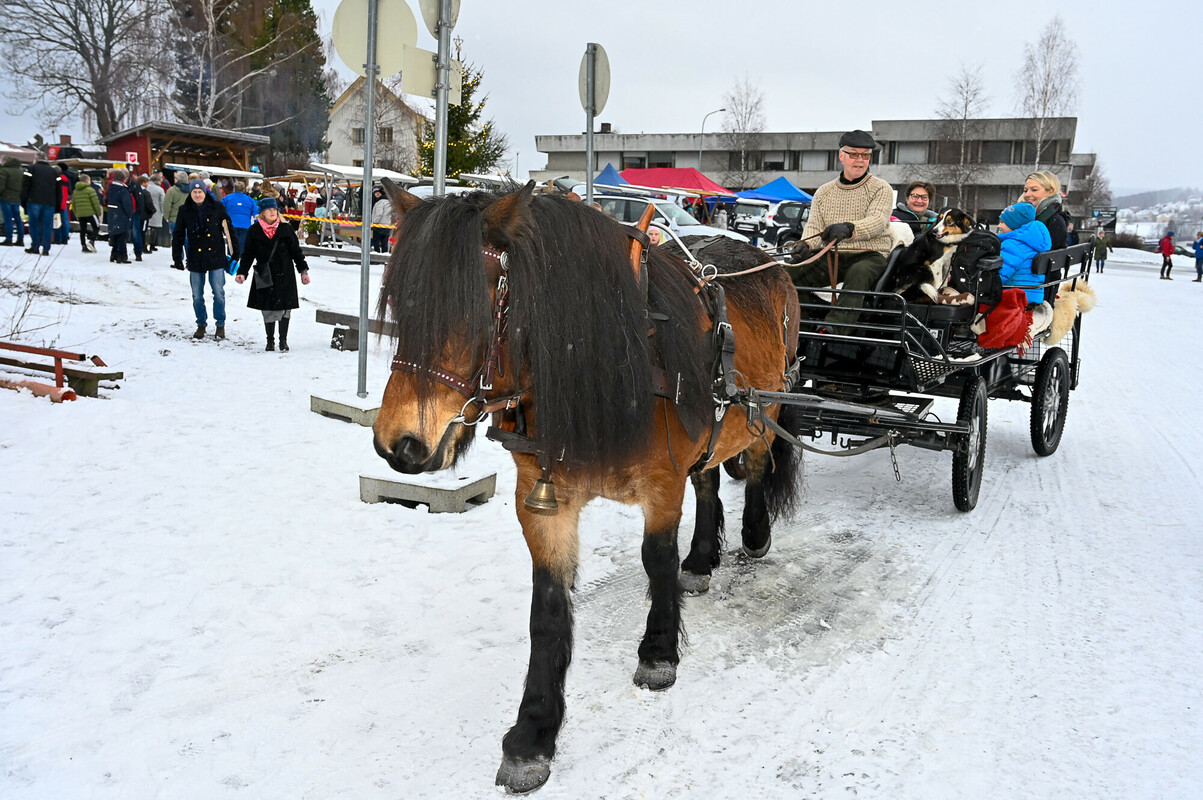 Hest og kjerre under julemarked